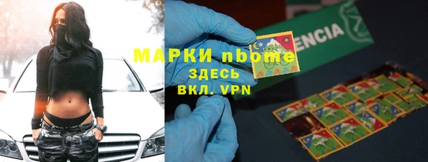 ГАЛЛЮЦИНОГЕННЫЕ ГРИБЫ Верея