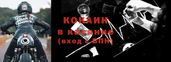 ГАЛЛЮЦИНОГЕННЫЕ ГРИБЫ Верея