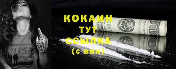 MESCALINE Бородино