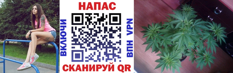 Каннабис White Widow Южно-Сахалинск